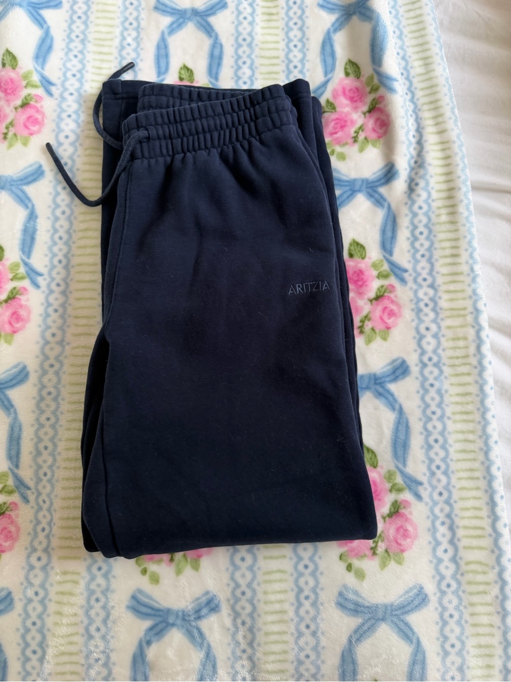 Aritzia  Navy Jogger Sweatpants